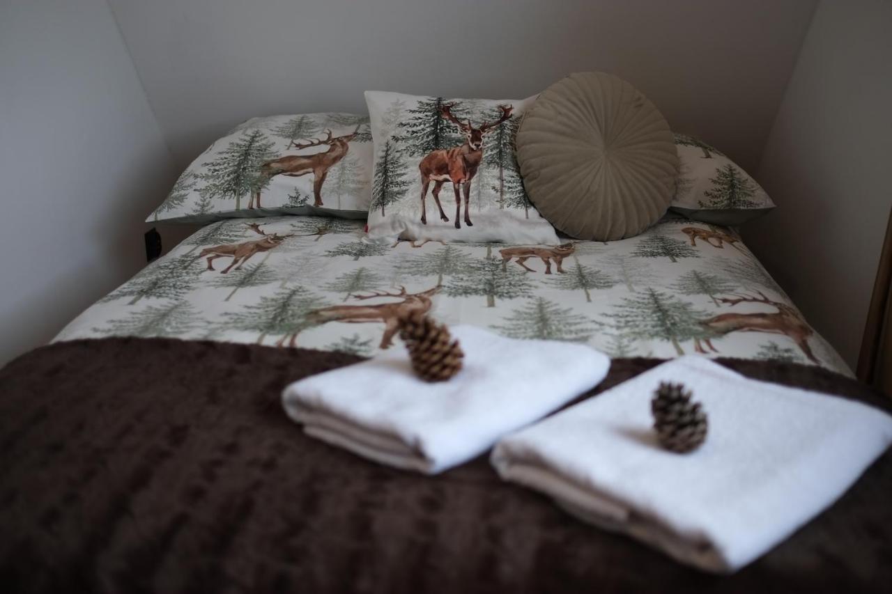 Apartament Ryllowka Z Widokiem Na Gory Zakopane Bagian luar foto